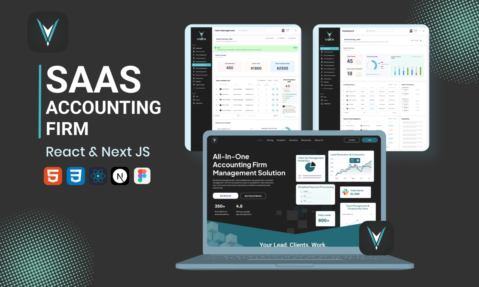 SaaS - Accounting Firm Services Website